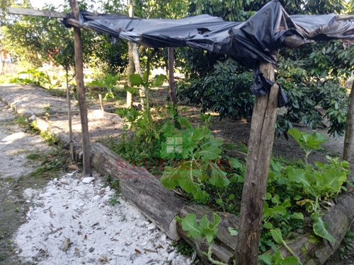 Imagem 22 de 22 de Chácara À Venda Em Juquitiba Medindo 1500m² Ref 0994