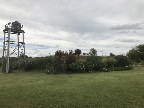 Imagen 2 de 30 de Venta De Chacra Sobre Ruta 9 A 30 Km De Jose Ignacio
