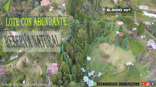 Imagen 1 de 14 de En Venta Lote Guarne Vereda La Brizuela 6.500m²