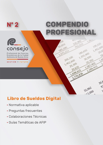 Compendio Profesional Nº 2 - Libro De Sueldos Digitale