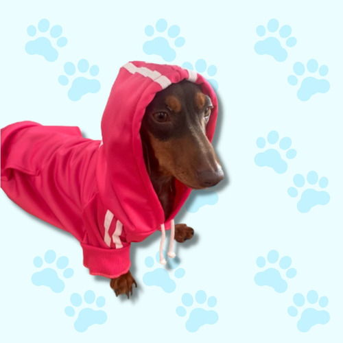 Buzo Hoodie Ropa De Perro Color Rosa Varios Talles 2 Al 6