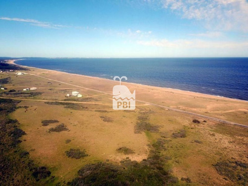 Imagen 6 de 9 de Chacra En Venta Punta Negra - Ref : Pbi589