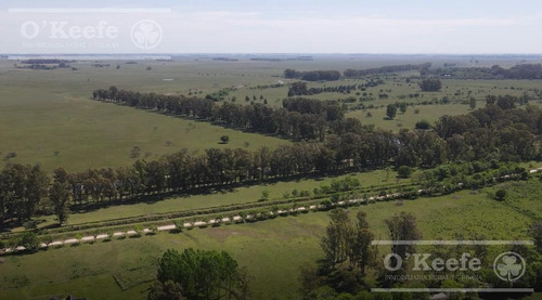 Imagen 13 de 19 de Moderna Casa Quinta A Estrenar En Venta A 1 Hs De Caba - Estancia Las Malvinas - Brandsen