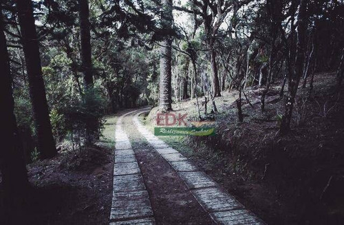 Imagem 2 de 15 de Chácara Com 3 Dormitórios À Venda, 16279 M² Por R$ 550.000,00 - Fonte Simão - Campos Do Jordão/sp - Ch0763