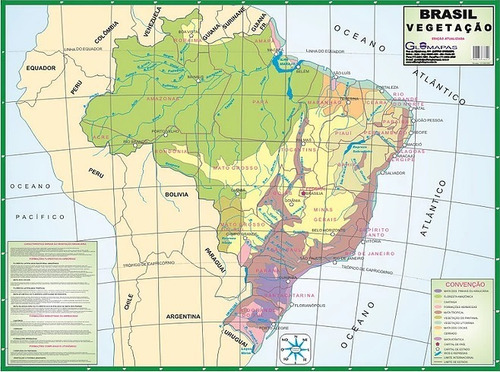 Mapa Do Brasil Vegetação Telado Globomapas