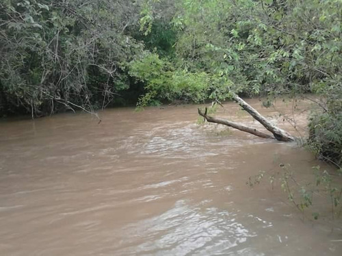Imagem 12 de 18 de Área À Venda, 83000 M² Por R$ 12.450.000,00 - Imóvel Cataratas - Gleba Ii - Foz Do Iguaçu/pr - Ar0012