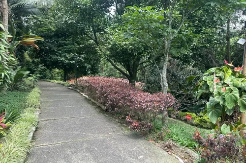 Casa En Arriendo/venta En Envigado. Cod A501213