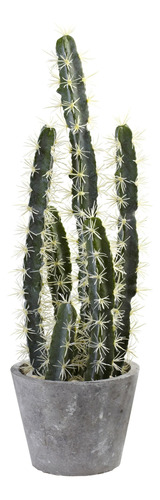 Nearly Natural  Jardín Decorativo De Cactus Con Maceta De .
