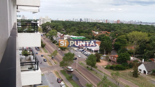 Imagen 9 de 30 de Apartamento En Venta - Roosevelt