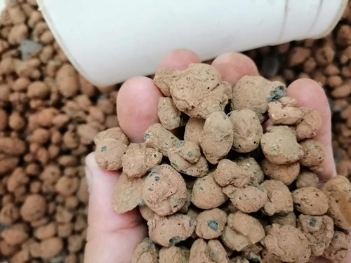 20 Litros Hidroton O Arcilla Expandida Envío Incluido
