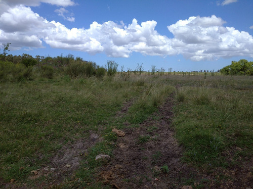Chacra De 13 Hectáreas Con Casa Y Cañada