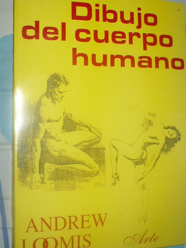 Dibujo Del Cuerpo Humano