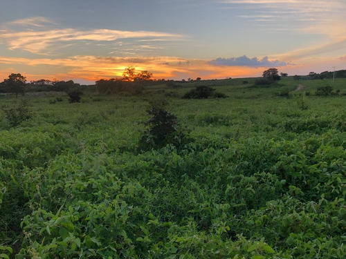 Imagem 7 de 25 de Linda Fazenda Na Bahia!!!!!