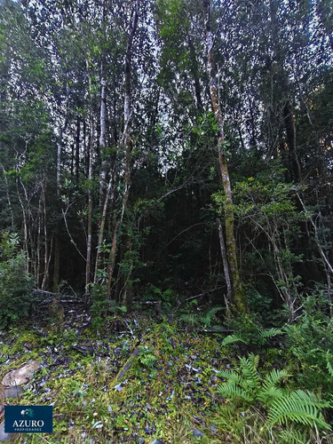 Espacio Ideal 6 Hás, Automó, Puerto Montt. (176432)