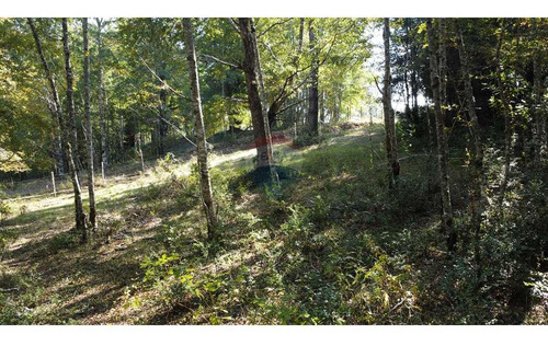 Plot In Pucón, Los Riscos Safe Investment