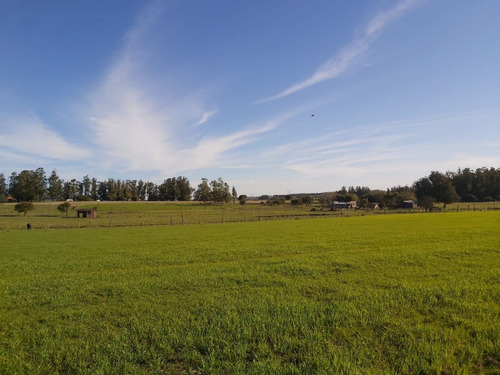 Venta Chacra Ruta 39 , 8 Has - Ref: 3416