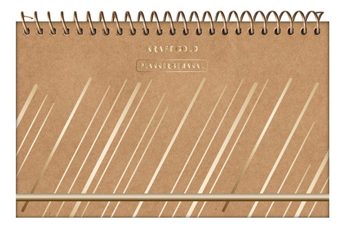 Agenda Planner Planejamento Kraft Gold Riscos Jandaia 96 Fls