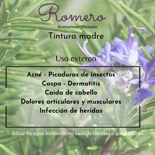 Tintura Madre De Caléndula.30 Ml.magia Natural. Homeopatía