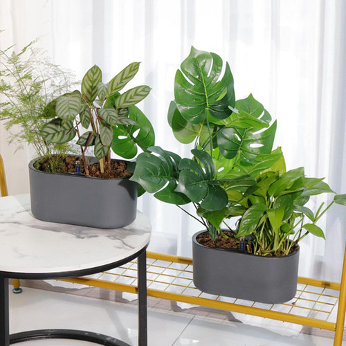 2 Piezas Plantador De Riego Automático Plantas De Hierbas