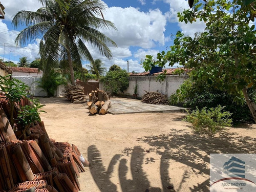 Imagem 2 de 25 de Granja Com Ponto Comercial A Venda Bom Jesus