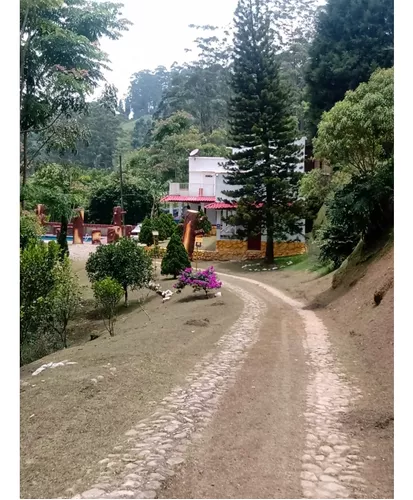 Vendo Finca En Caldas Antioquia Con Temática Ambientalista