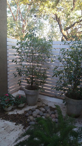 Imagen 20 de 21 de Casa En Venta B° Villa Allende Golf. 4 Dorm.