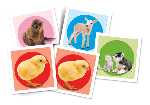 Juego De Memoria Animales Bebes Clementoni Montessori