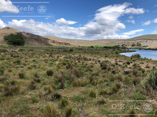 Imagen 22 de 30 de Campo En Venta En Rio Negro - Exclusivo Sobre El Rio Limay. Ideal Flyfishing!
