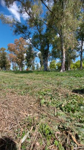 Venta Lotes Campos De Roca 2 Ubicacion Unica Mr