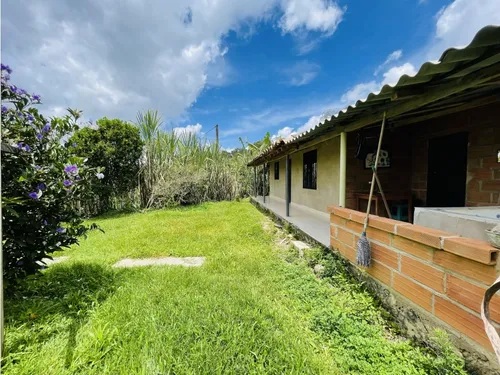 Se Vende Finca De 7 Hectáreas En San Roque, Antioquia