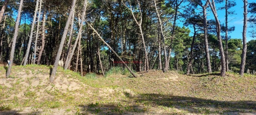 Imagen 2 de 11 de Lote En Venta En Barrio Pioneros. Barrio Cerrado. Pinamar.