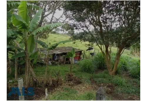 Finca Independiente En Rionegro - El Tablazo(mls#249941)