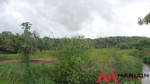 Imagem 13 de 14 de Terreno Em Nizia Floresta
