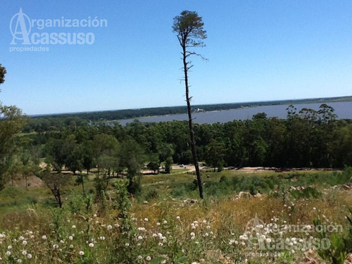 Imagen 7 de 19 de Punta Del Este - Chacra Venta Usd 1.100.000