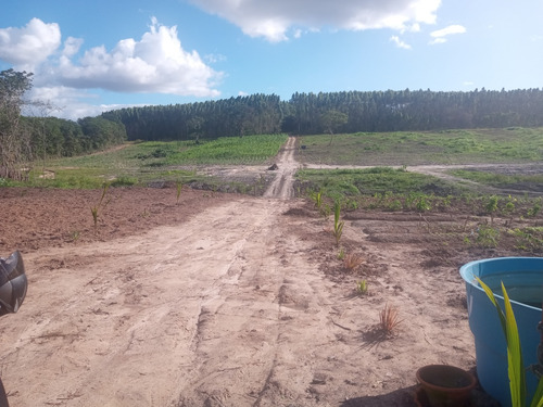Área De Terra Com 12 Tarefas