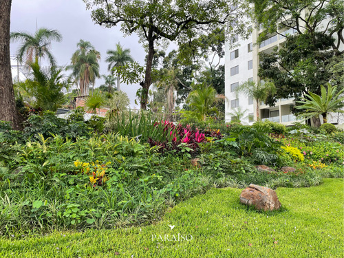 Lotes Premium | Jacarandas