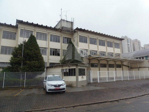 Imagem 1 de 15 de Galpao - Jardim Pereira Leite - Ref: 6598 - L-6598