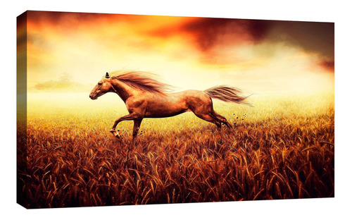 Cuadro Decorativo Canvas Moderno Caballo Fantasia Noche Color Caballo Salvaje Cabalga Armazón Natural