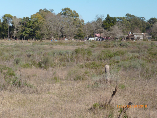 Imagen 8 de 11 de Dos Amplios Lotes En Ruta 11