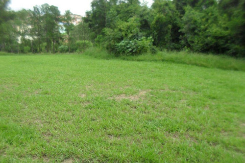 Área À Venda, Jardim Alto Da Colina - Valinhos/sp - 6665
