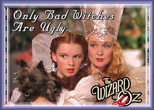 Ata-boy Wizard Of Oz Only Bad Witches Are Ugly Imán De 2.5  