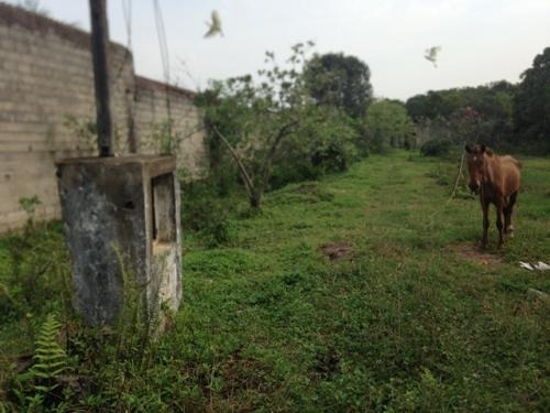 Terreno À Venda No Balneário Gaivota - Itanhaém 2326 | A.c.m