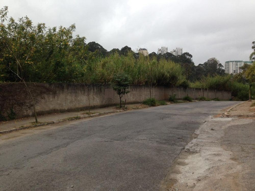Imagem 3 de 4 de Terreno A Venda No Bairro Morumbi - São Paulo, Sp - Ri10051