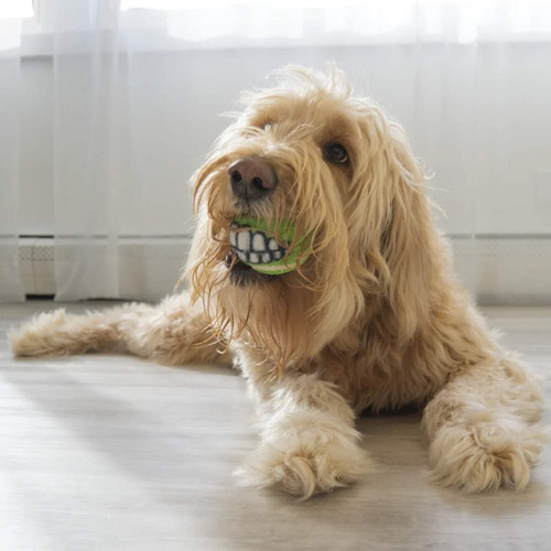 Bola Kong Grinz Sorriso Bolinha Para Cães M 3un Dispenser