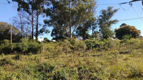 Imagen 5 de 5 de Terreno - Concordia