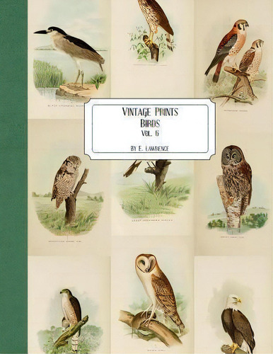Vintage Prints : Birds: Vol. 6, De E Lawrence. Editorial Createspace Independent Publishing Platform, Tapa Blanda En Inglés