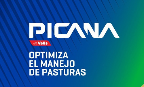 Imagen 9 de 10 de El Pateador Para Cercos 12v 60km Valls Boyero Eléctrico