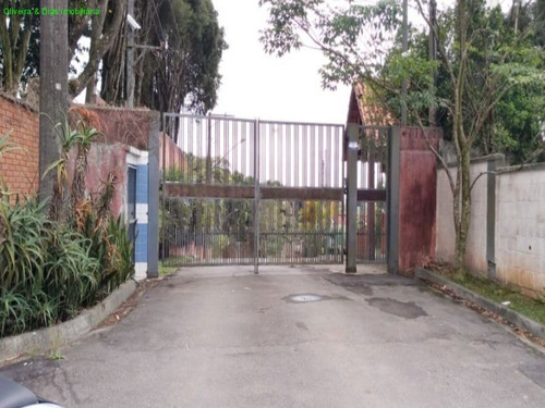 Imagem 4 de 8 de Terreno - Te00074 - 69538610
