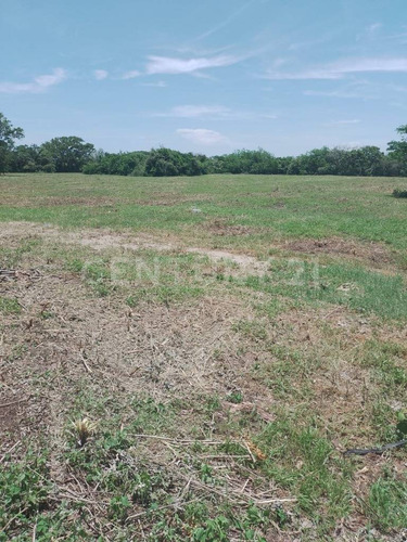 Venta De Terreno En Ex-hacienda El Jobo En Tampico Alto