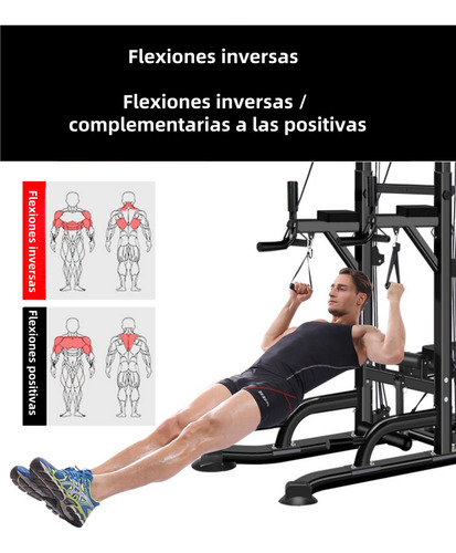 Equipos De Fitness Multifuncionale 40 Ejercic Para Interiore